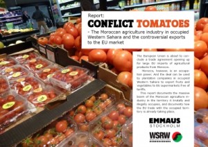 conflict_tomato_400